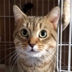 ゼロ