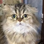ろな
