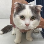 もー