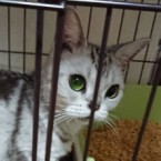 オリバー