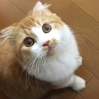 アズ