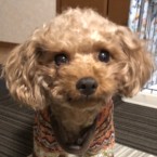 ラメ