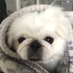 まるり