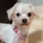ミロ
