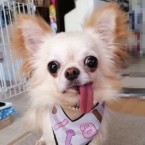 真央里（まおり）