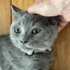 ブーン