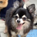 ひかり