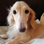 ヒョリ