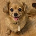 ひーちゃん