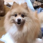 アツヒコ