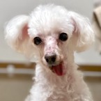 ミルナ