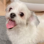 ポタ