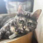さき子