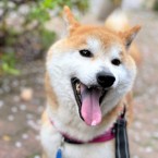しゅり