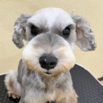 えるる
