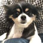 ちゅんちゅん