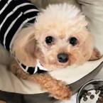 きっちゃん