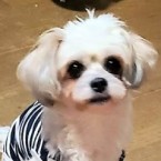 フルカ