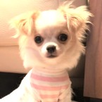 カチューシャ
