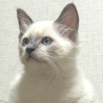 みな