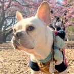 たましろ