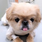 ちぃ