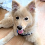 ベキィ