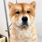 憂炎(ユーエン)