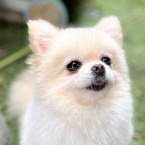 じゅり