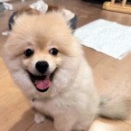 タク