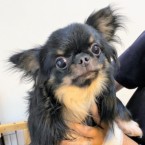 うなぎ