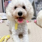 メエ