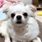 ふくま