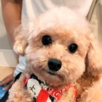 よっ君