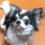 エディン