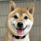 ひり
