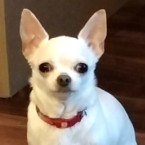ブーニー