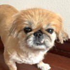 シールン