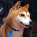 ニアミ