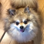 ナロ