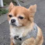 みちお