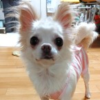 あつこ