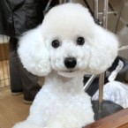 タン
