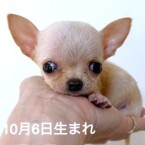 ザック