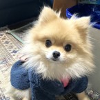 くみ