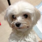 ゆきんこ