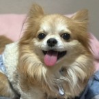 バルダー