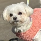 みぃみ