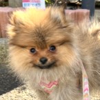 らに