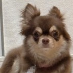 ゆなりん